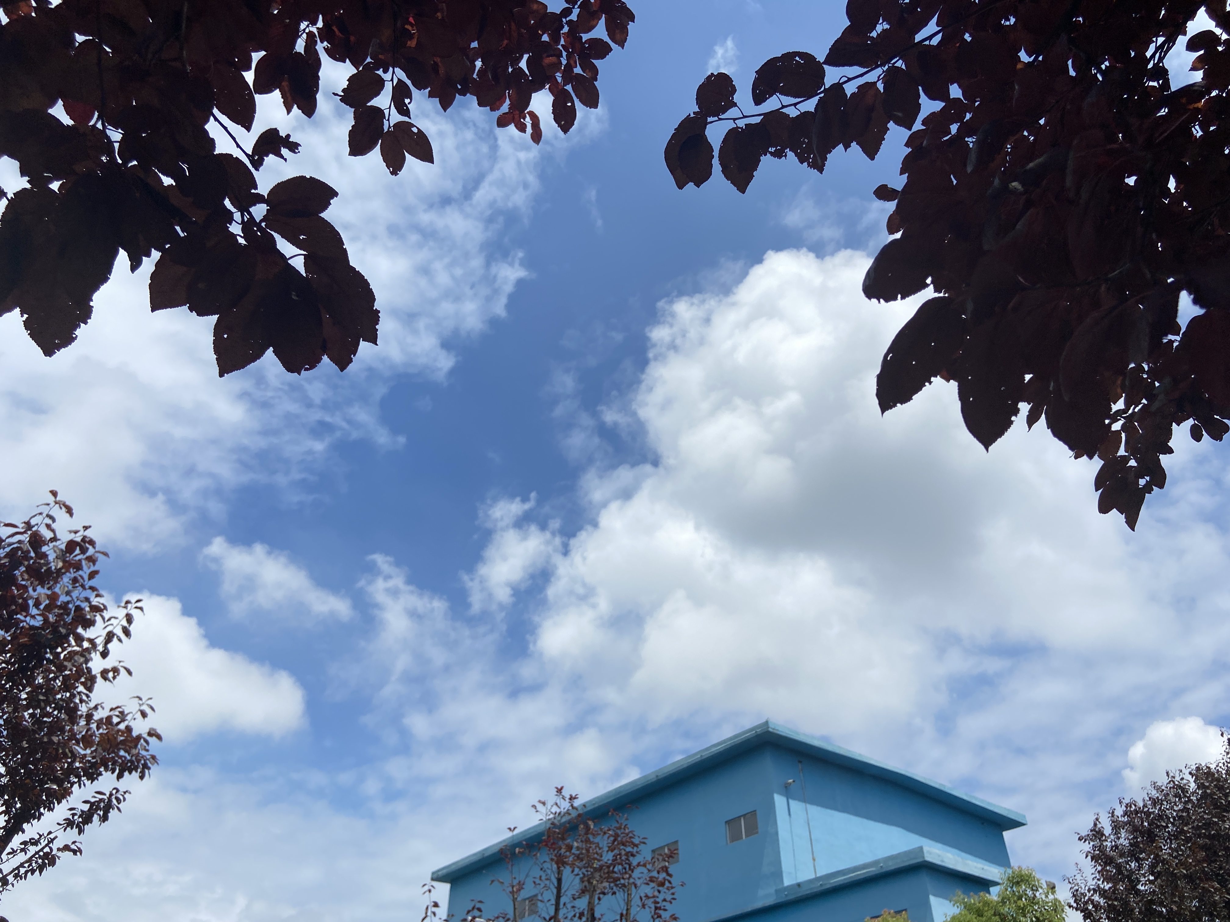 一场秋雨茁壮了钢城的美