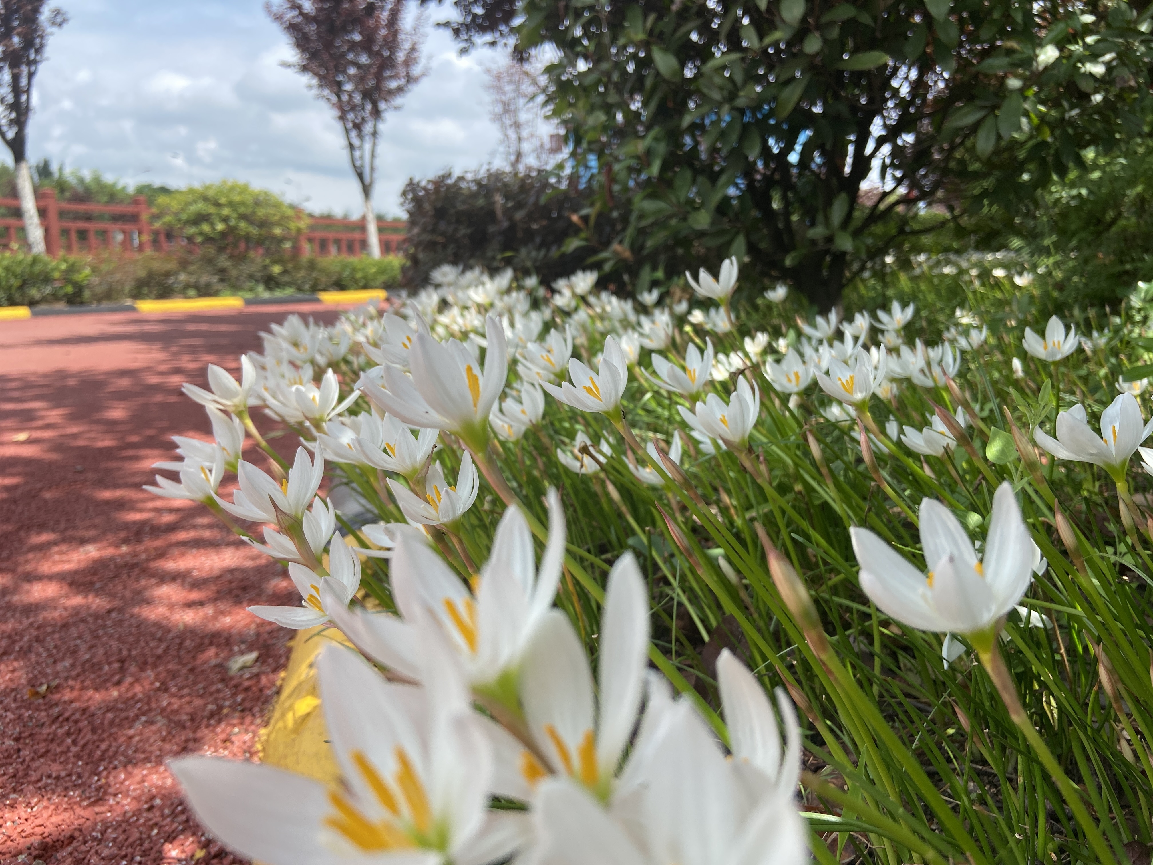 一场秋雨茁壮了钢城的美