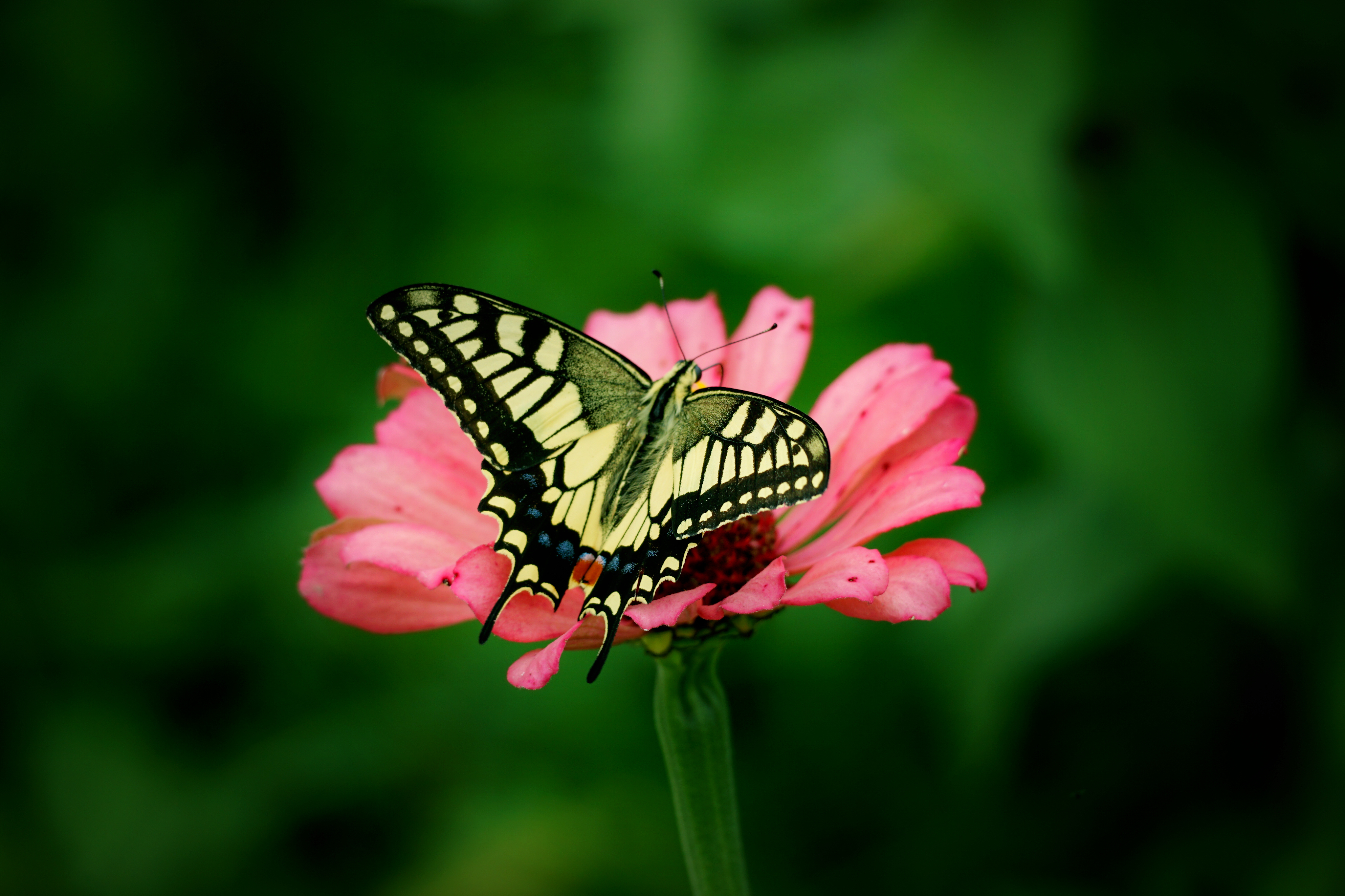 秋色正好 秋色正好