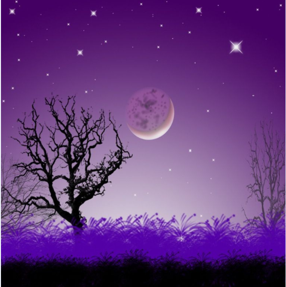 落月摇情,难留那年春江 落月摇情,难留那年春江