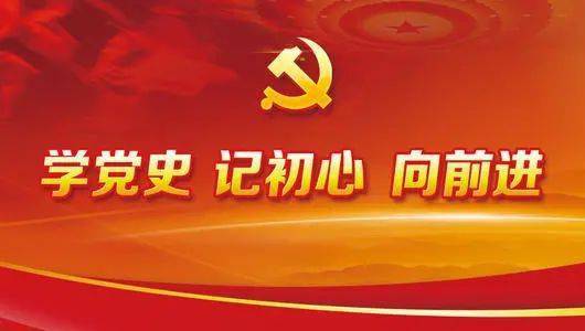 汲取党史奋进力量 赓续红色基因和血脉