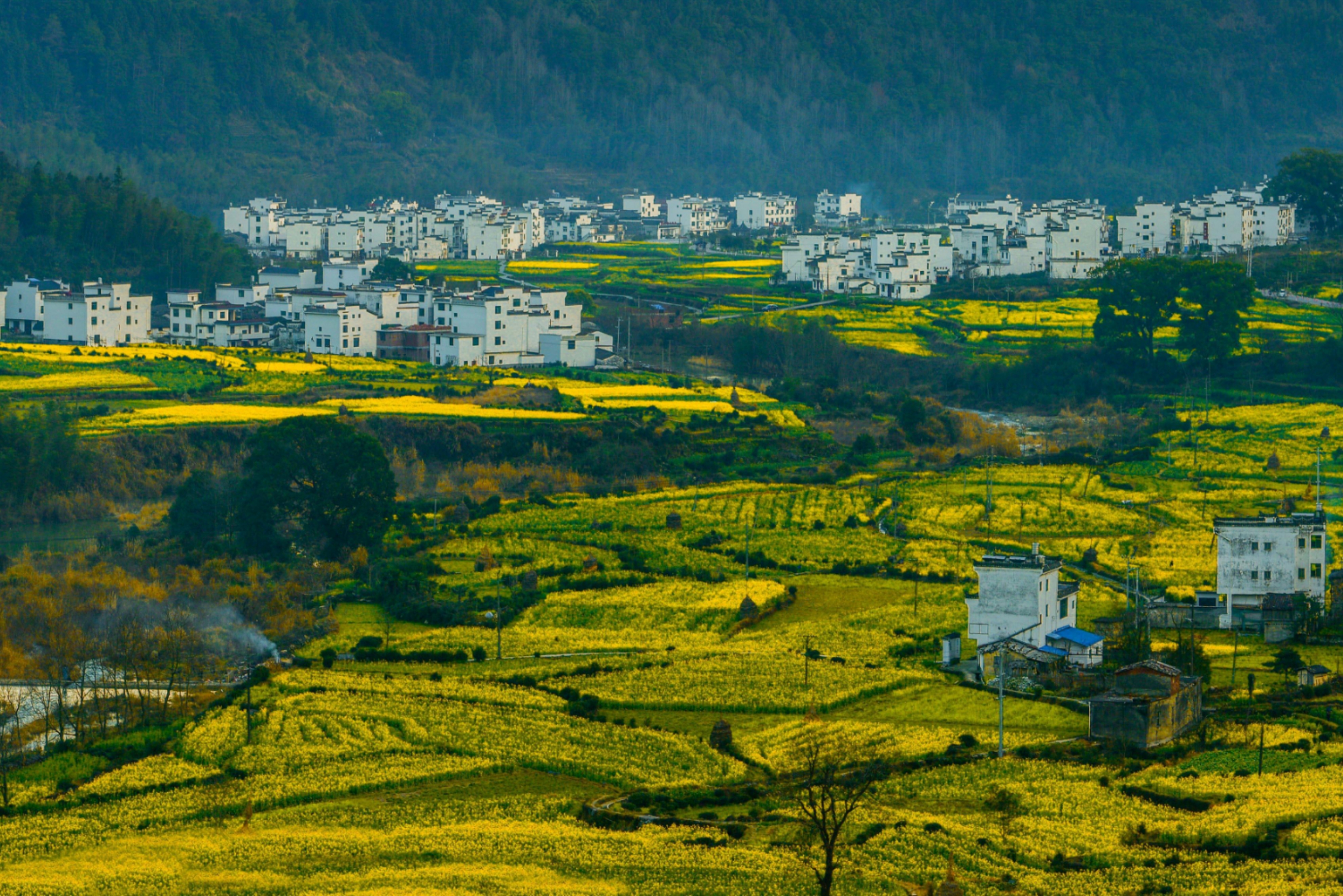 难以忘怀的思乡情结 难以忘怀的思乡情结