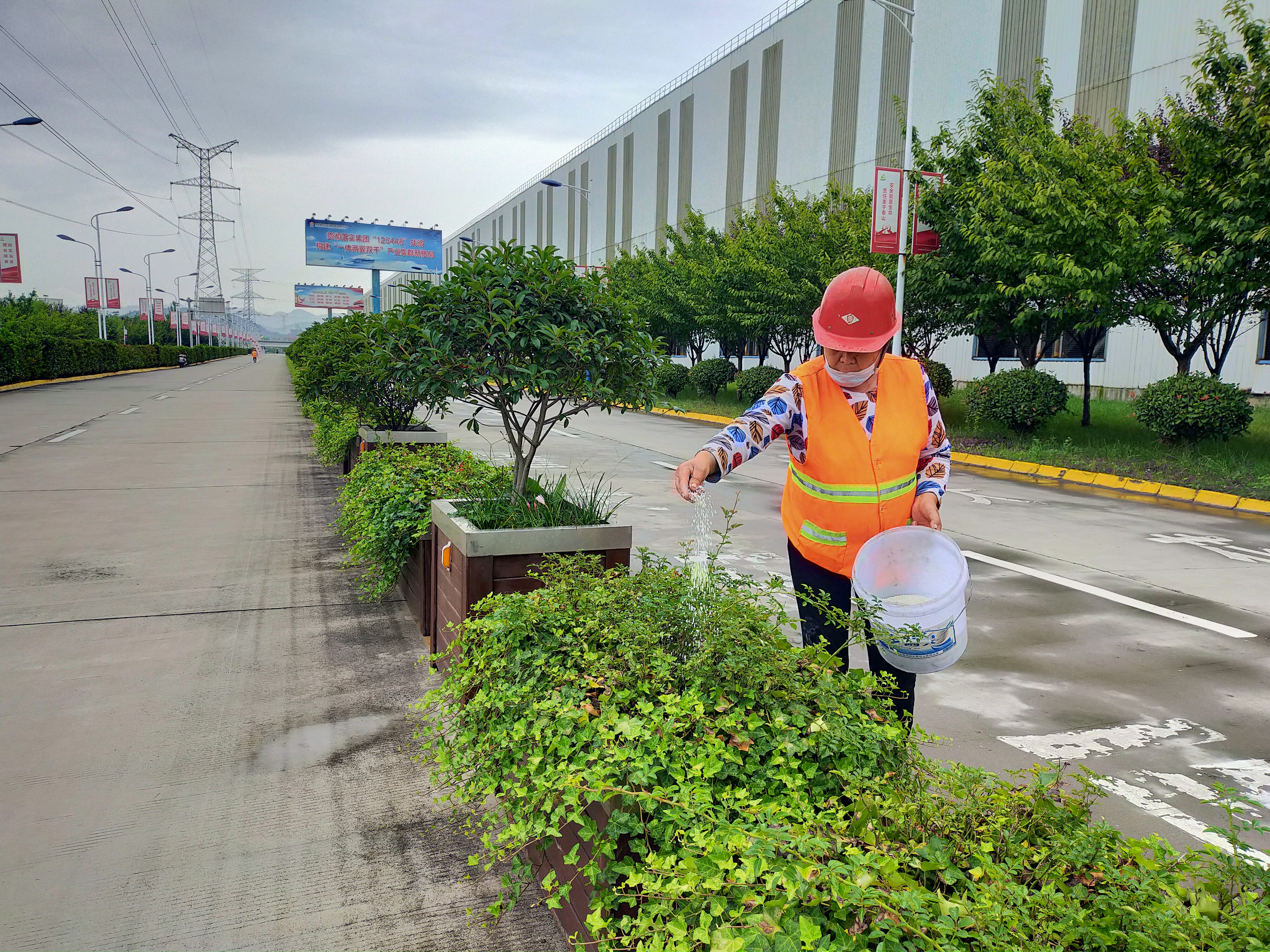 秋季施肥正当时