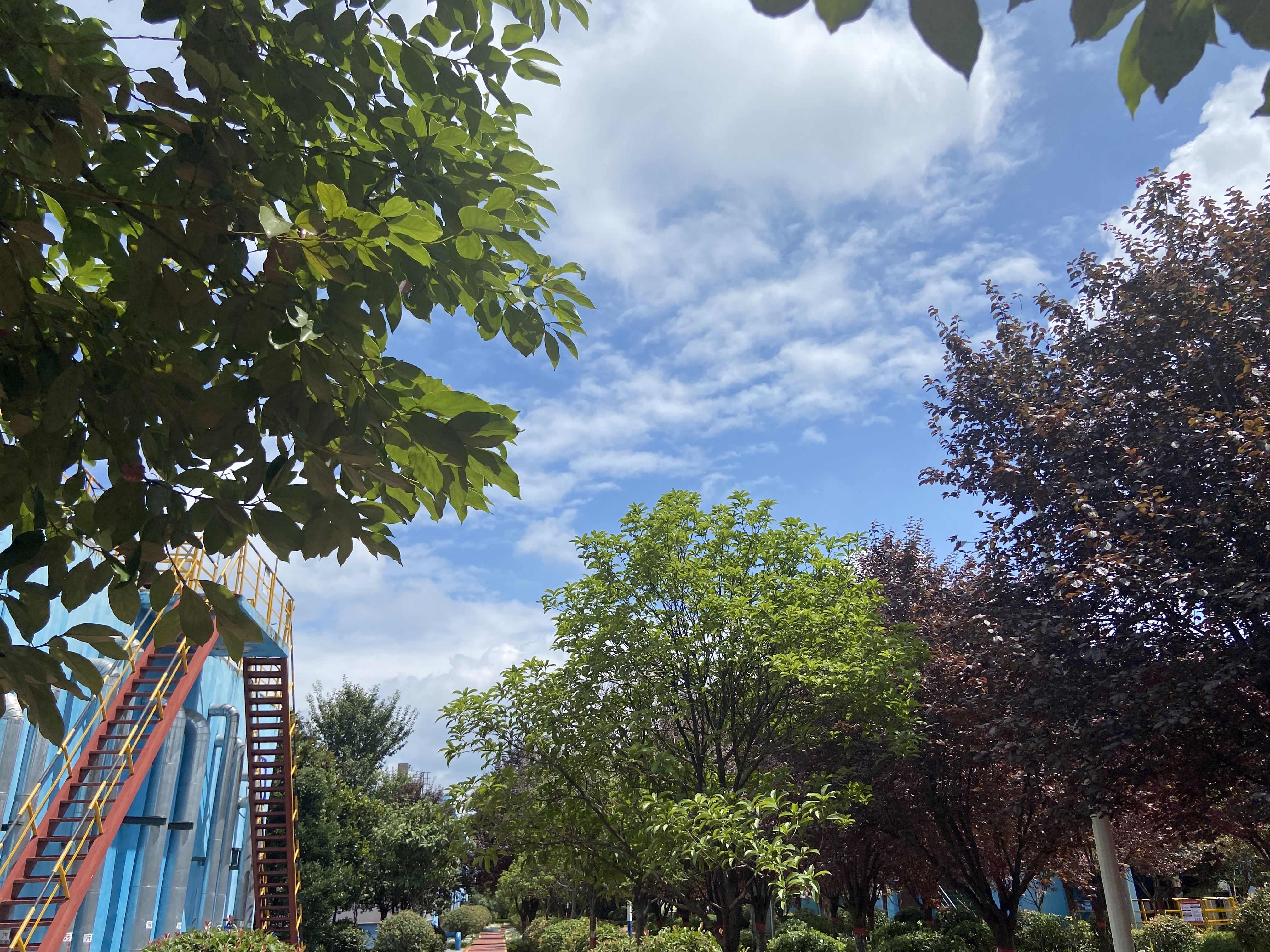 寻找汉钢秋之美 寻找汉钢秋之美