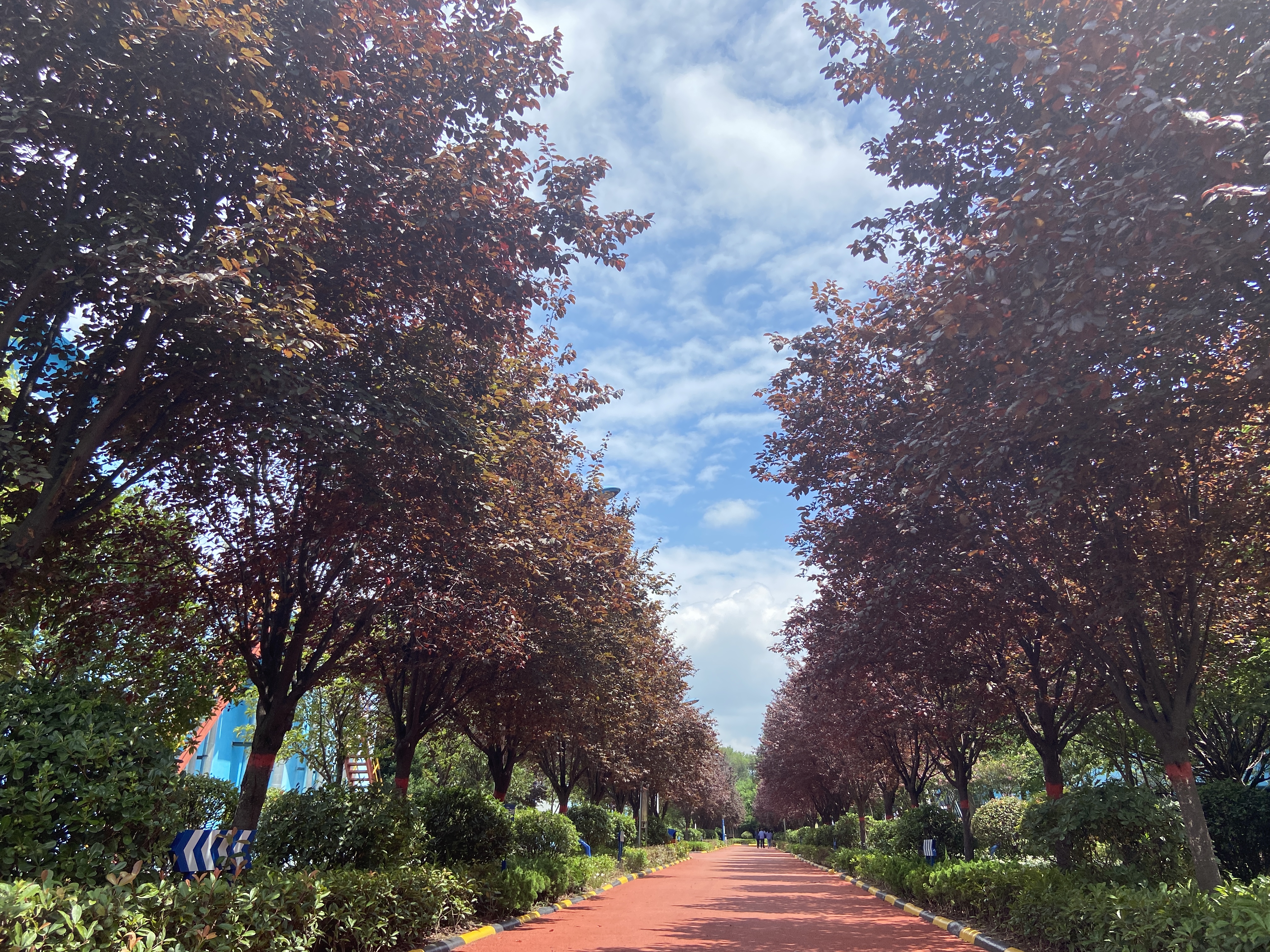 寻找汉钢秋之美 寻找汉钢秋之美