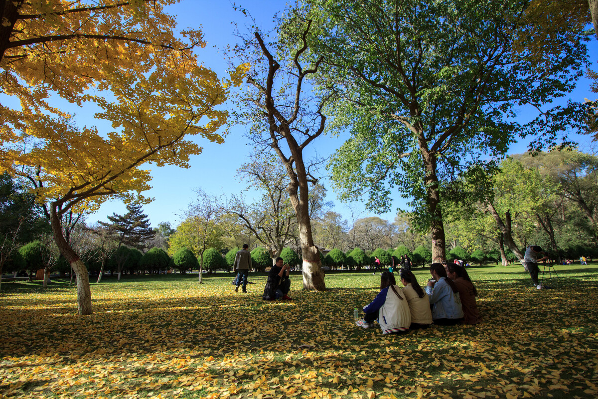 家乡的秋 家乡的秋