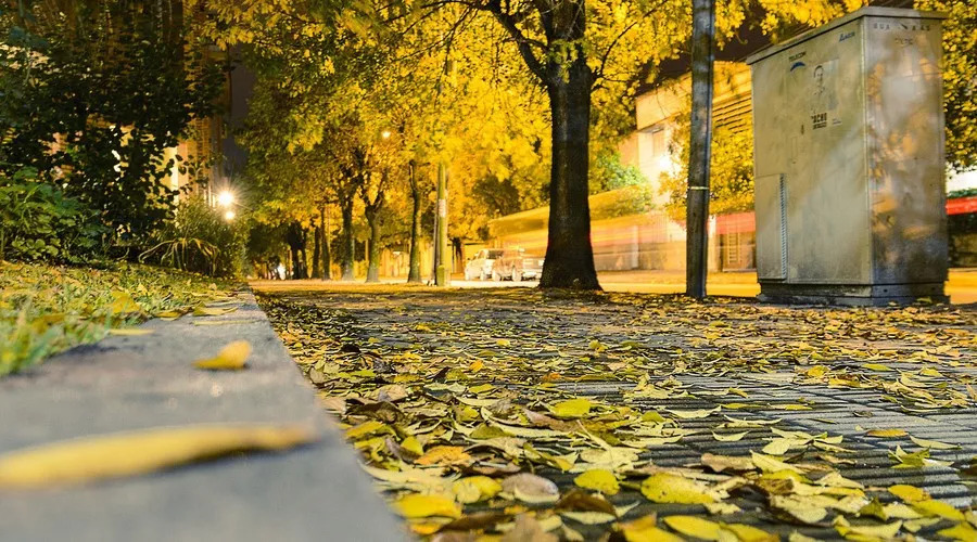 又到风起叶落时!汉钢那么美,我想带你去看看 又到风起叶落时!汉钢那么美,我想带你去看看