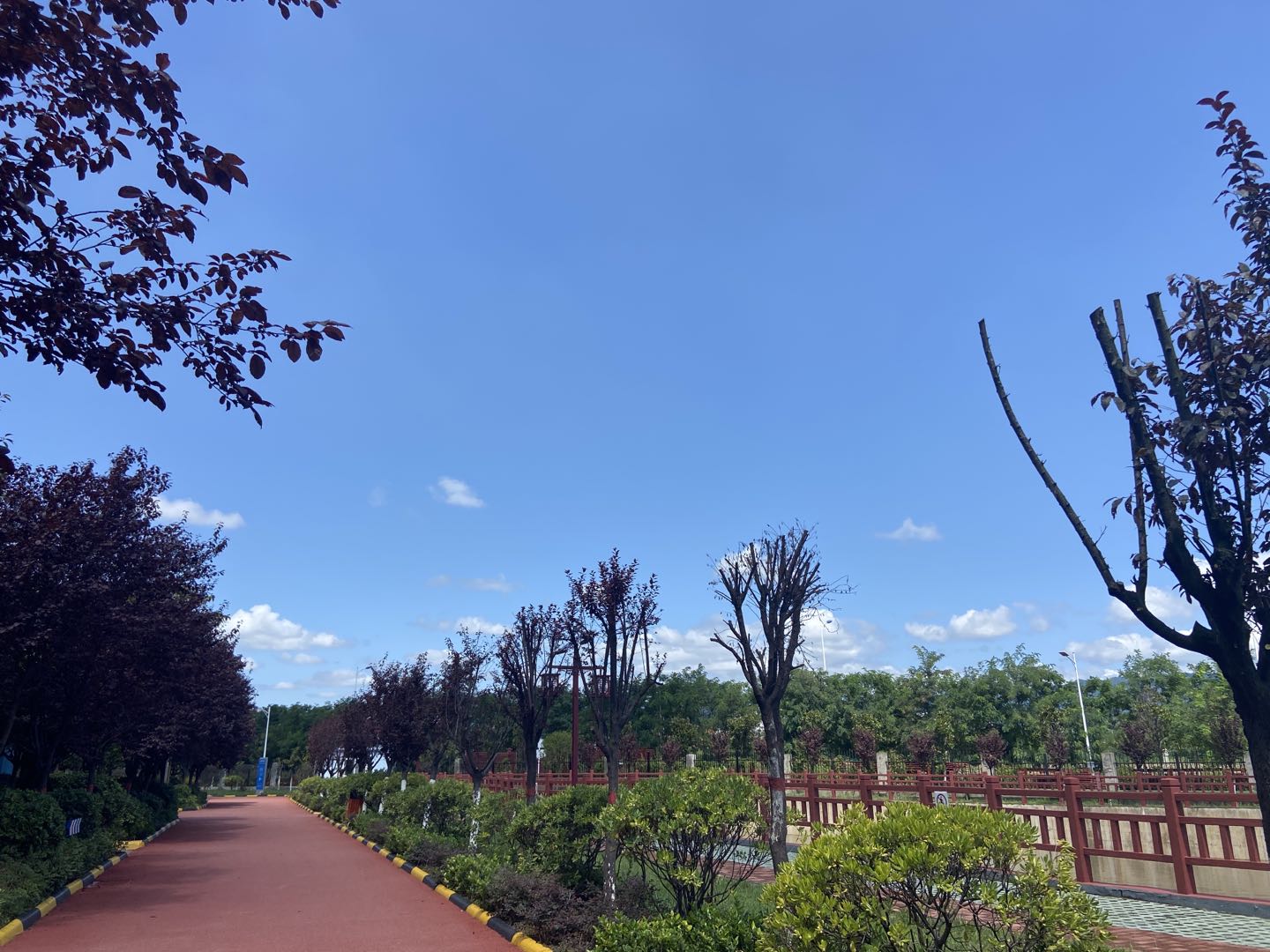 又到风起叶落时!汉钢那么美,我想带你去看看 又到风起叶落时!汉钢那么美,我想带你去看看