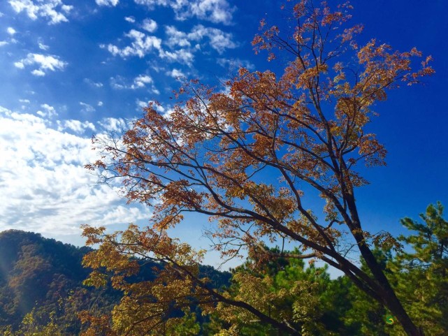 金秋九月，秋风送爽