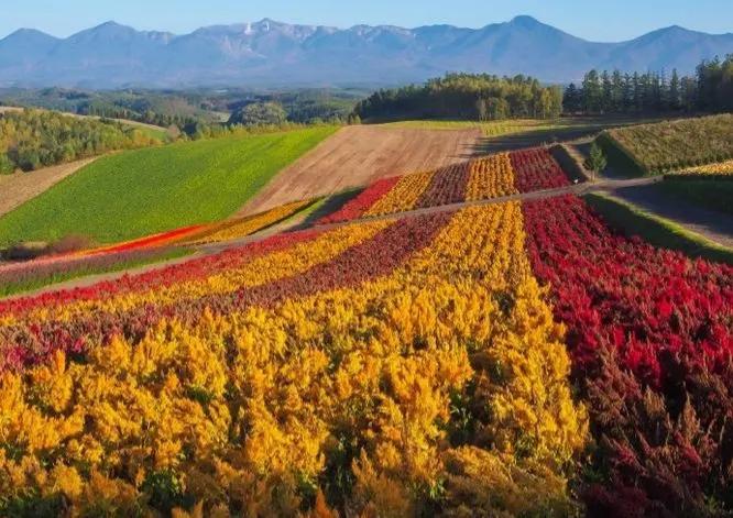 秋来时,风依然暖 秋来时,风依然暖