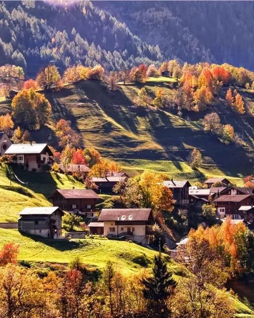 秋来时,风依然暖 秋来时,风依然暖