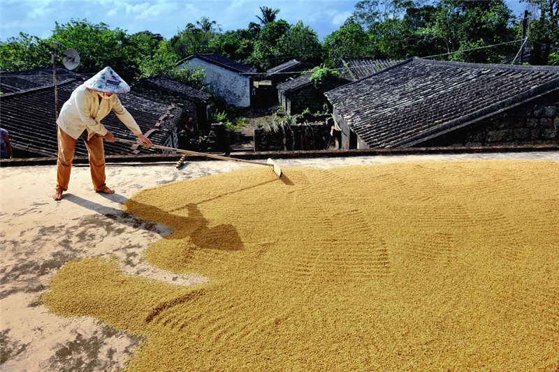 秋日物语 秋日物语