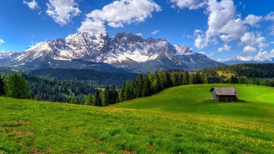 人间至味是清欢