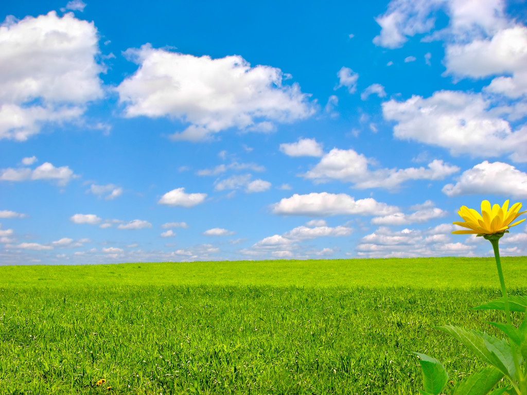 拨开层层雾霾，收获崭新未来