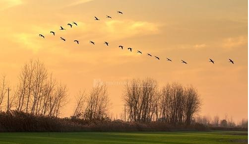 秋日物语 秋日物语