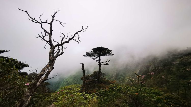 最美不过秋实 最美不过秋实