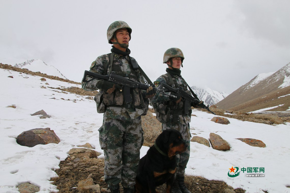 我所坚定的方向，我所奔赴的未来