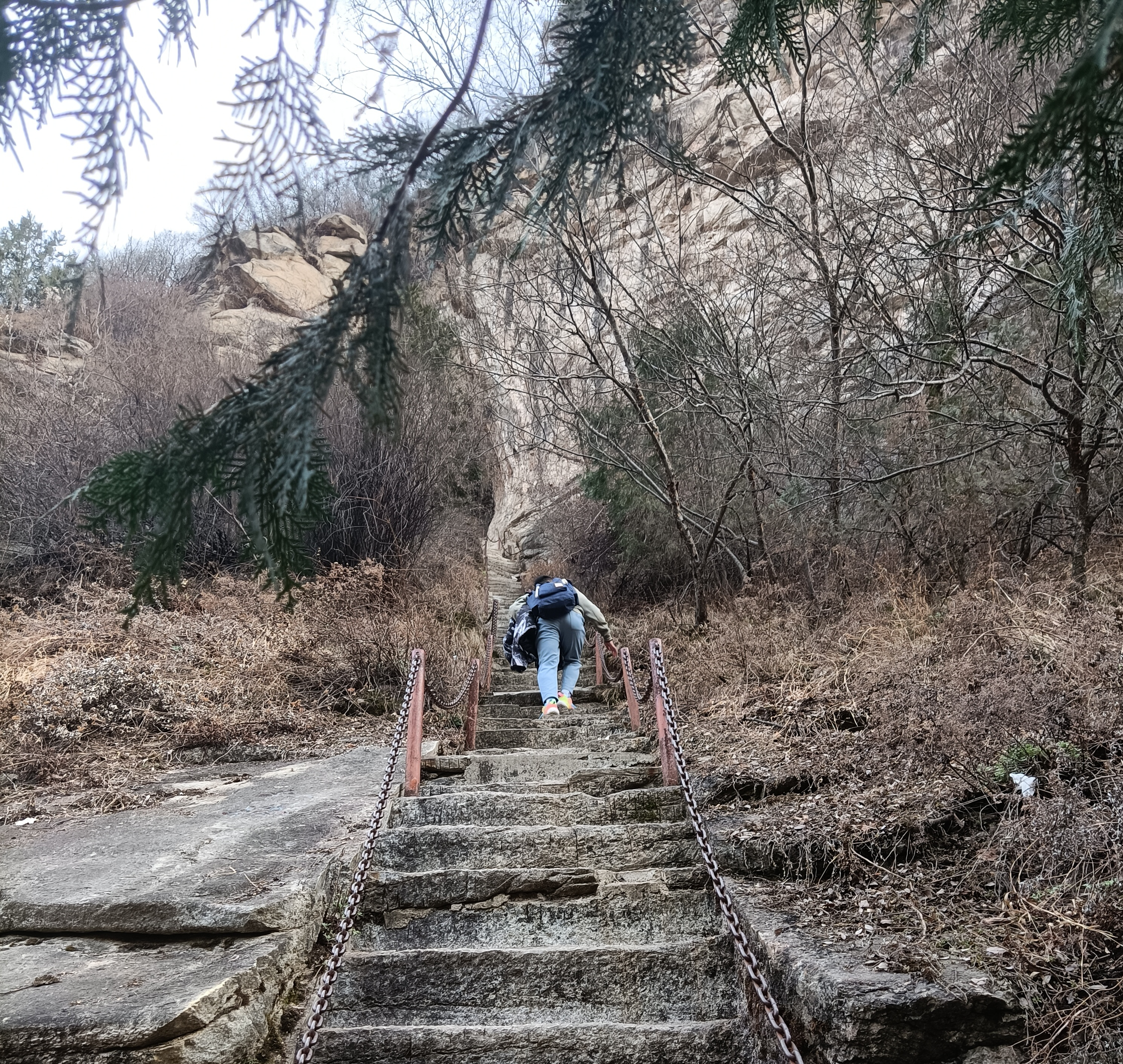 九九重阳  登高远望