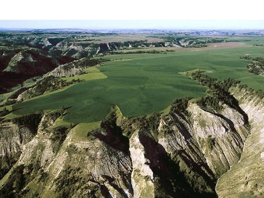 荒山变成了金山银山