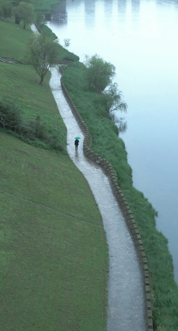 雨中独行