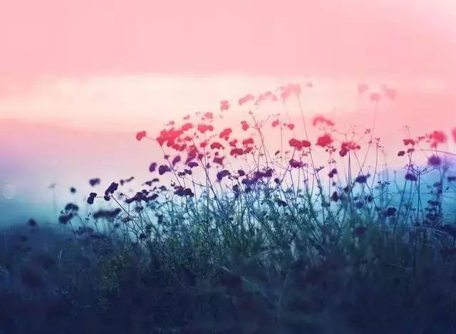 秋天的思念 秋天的思念