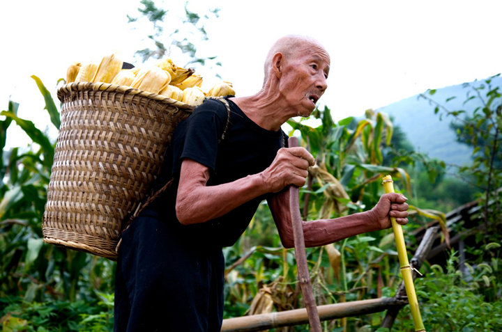 喇叭背上的传承