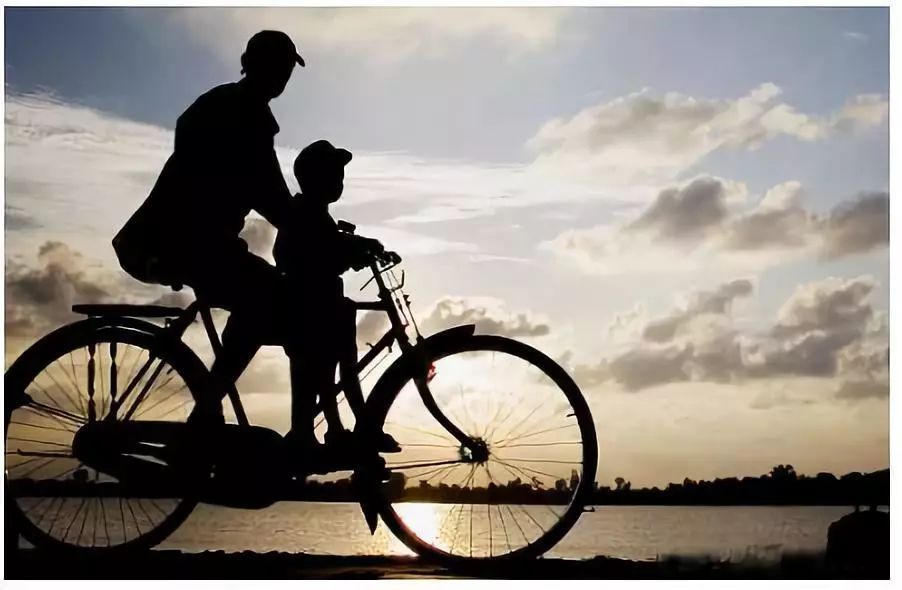 自行车后座的小幸福