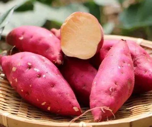 童年那些“甜甜”的记忆