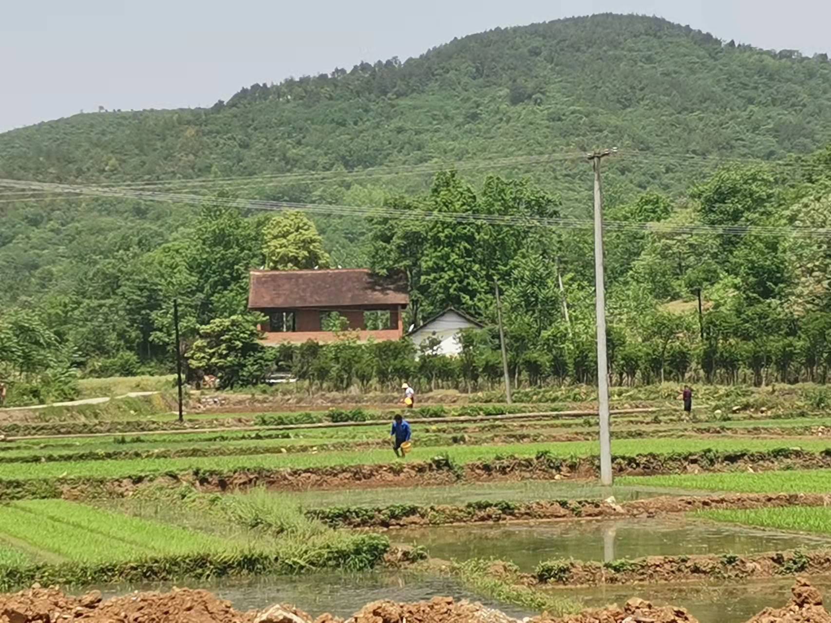 大山深处有人家 大山深处有人家