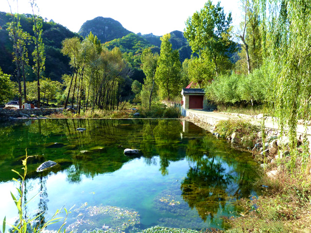 感悟大自然的“生命美学” 感悟大自然的“生命美学”