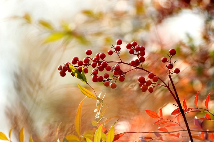 冬日里的暖阳 冬日里的暖阳