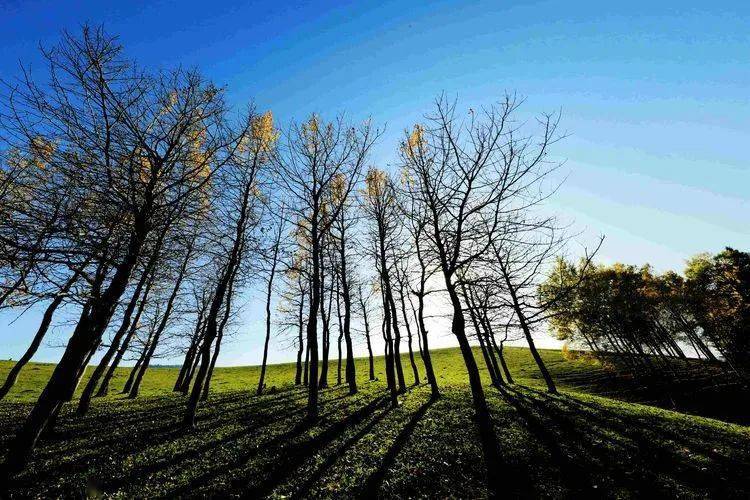 初冬恰似春 初冬恰似春