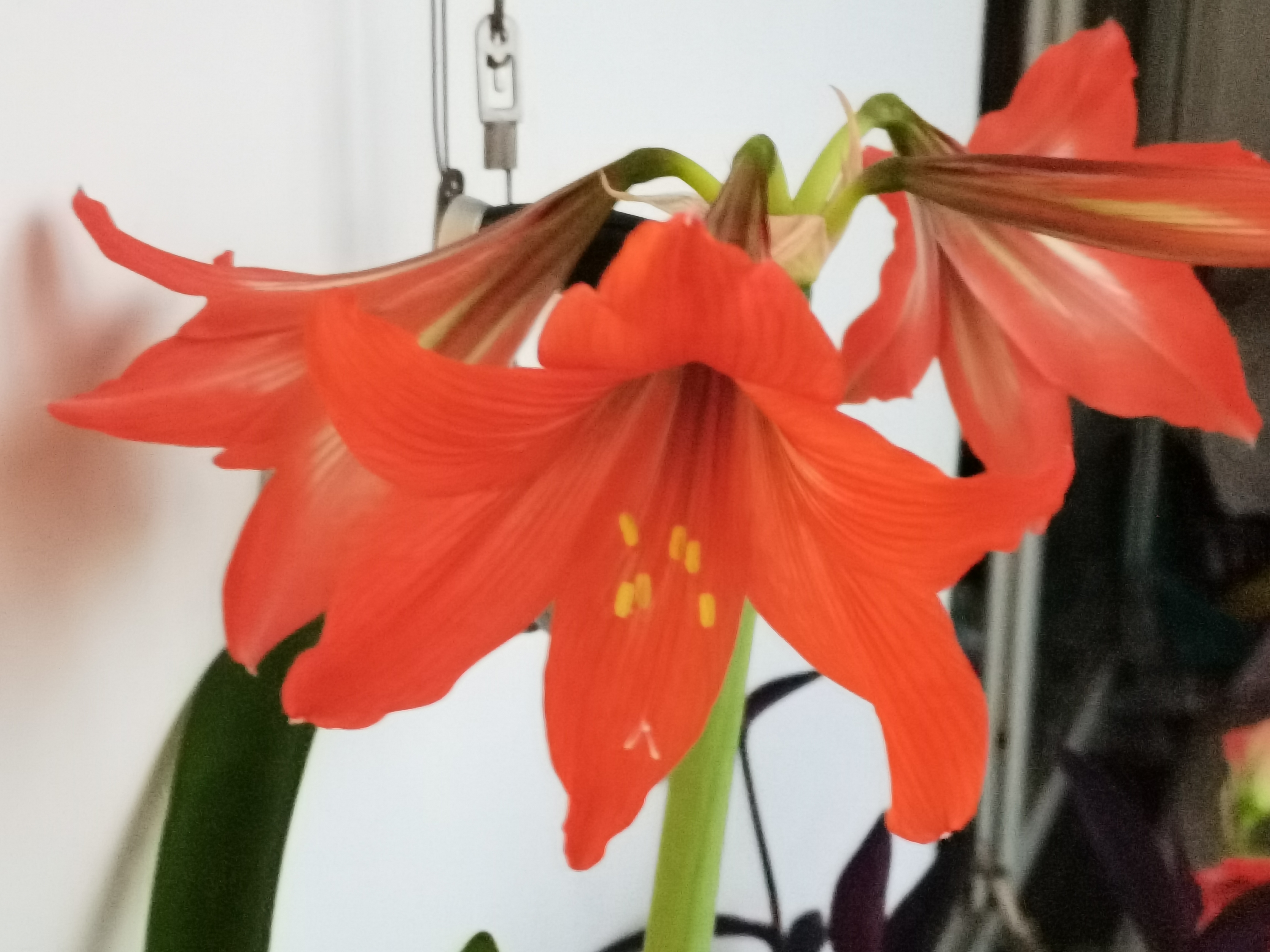 手机里的幸福时光