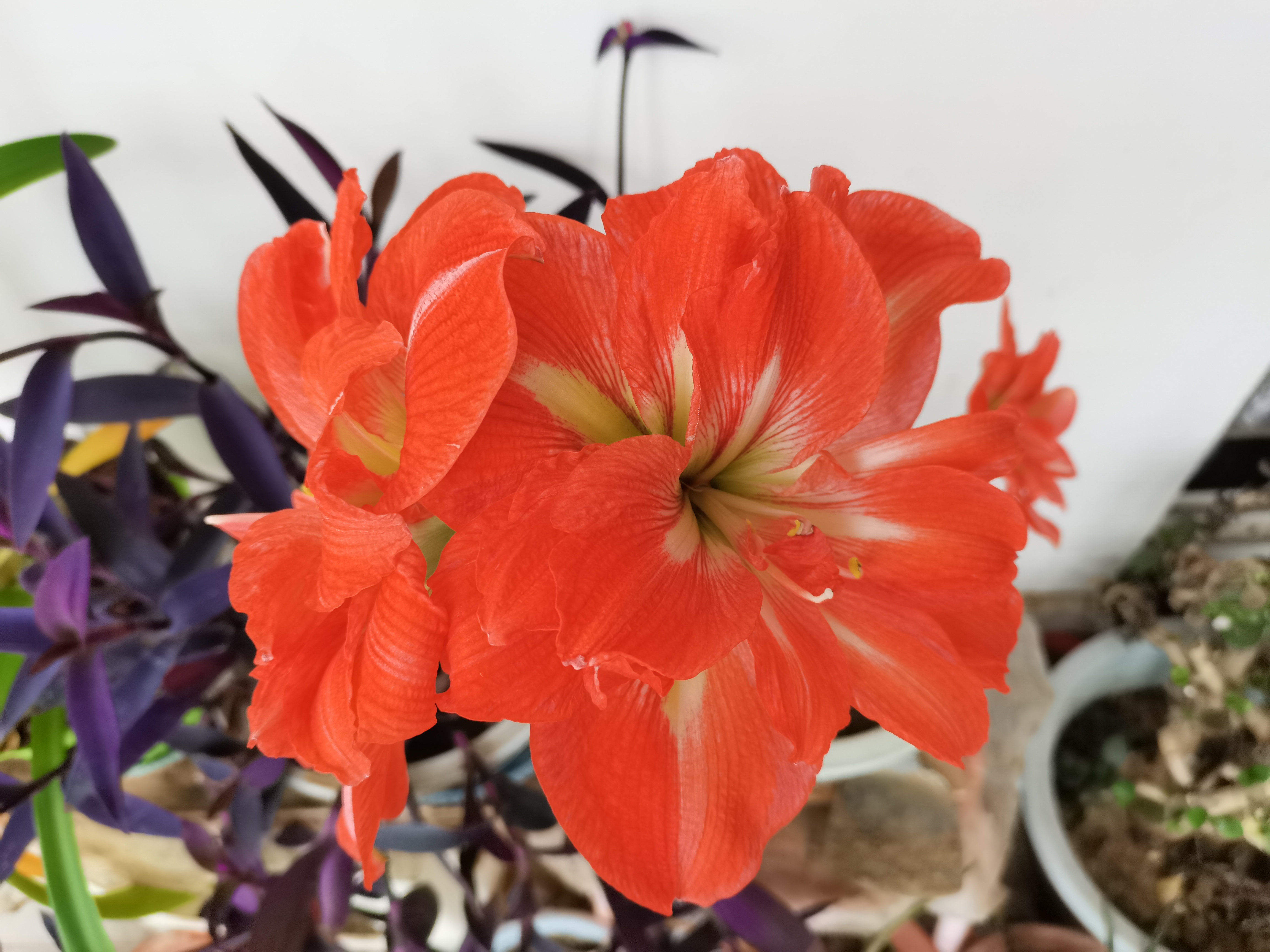 手机里的幸福时光