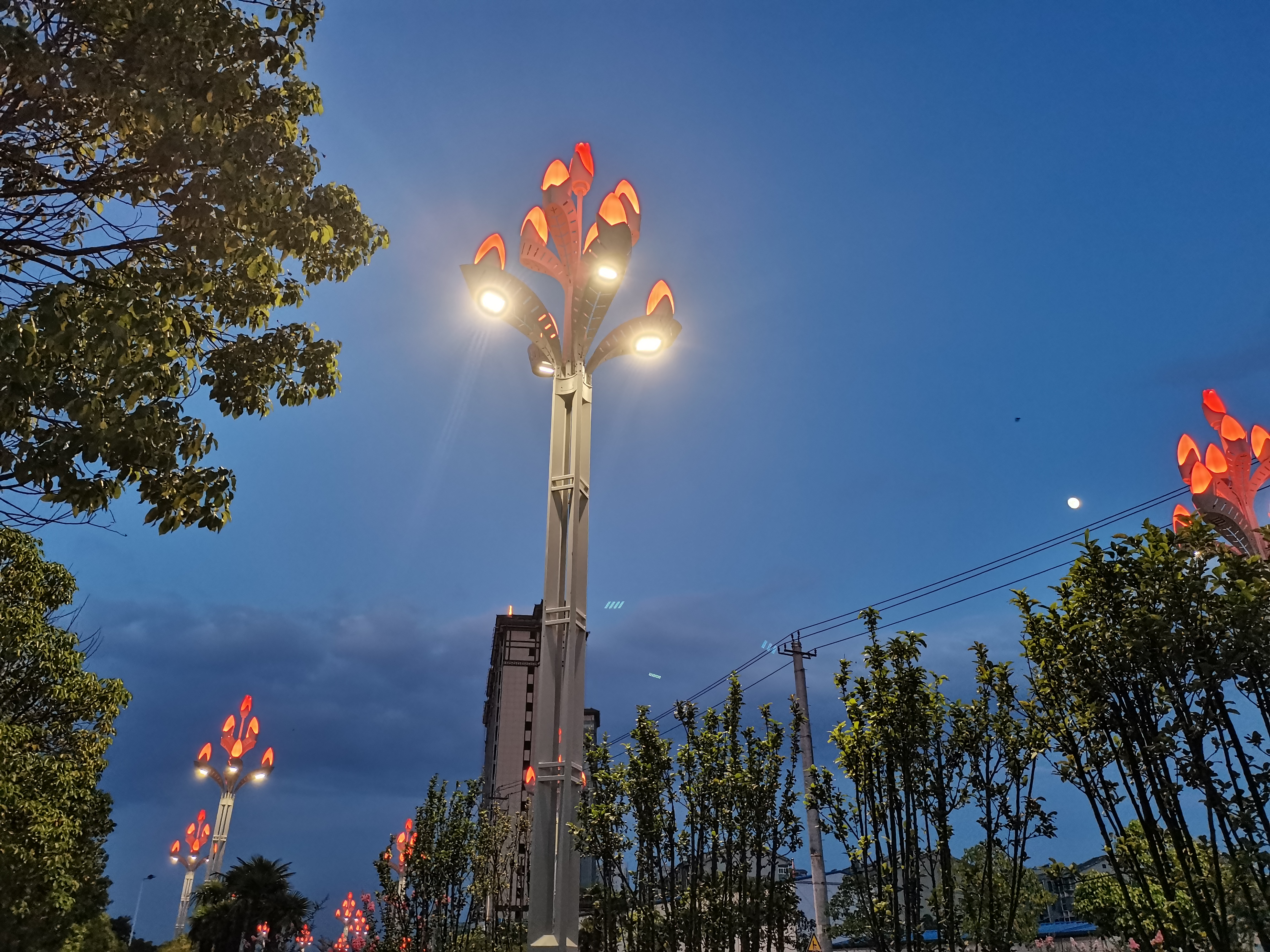 手机里的幸福时光