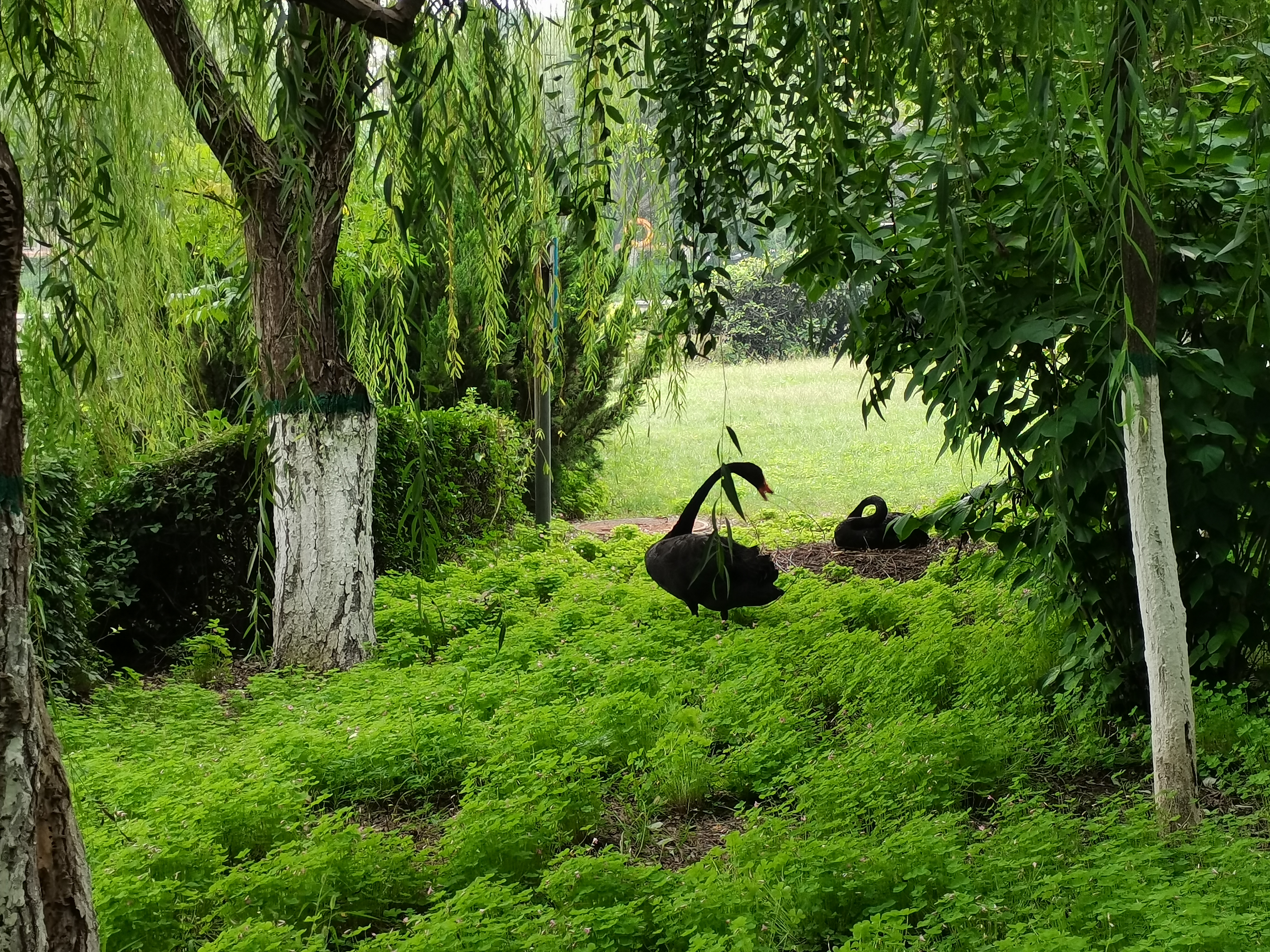 手机里的幸福时光