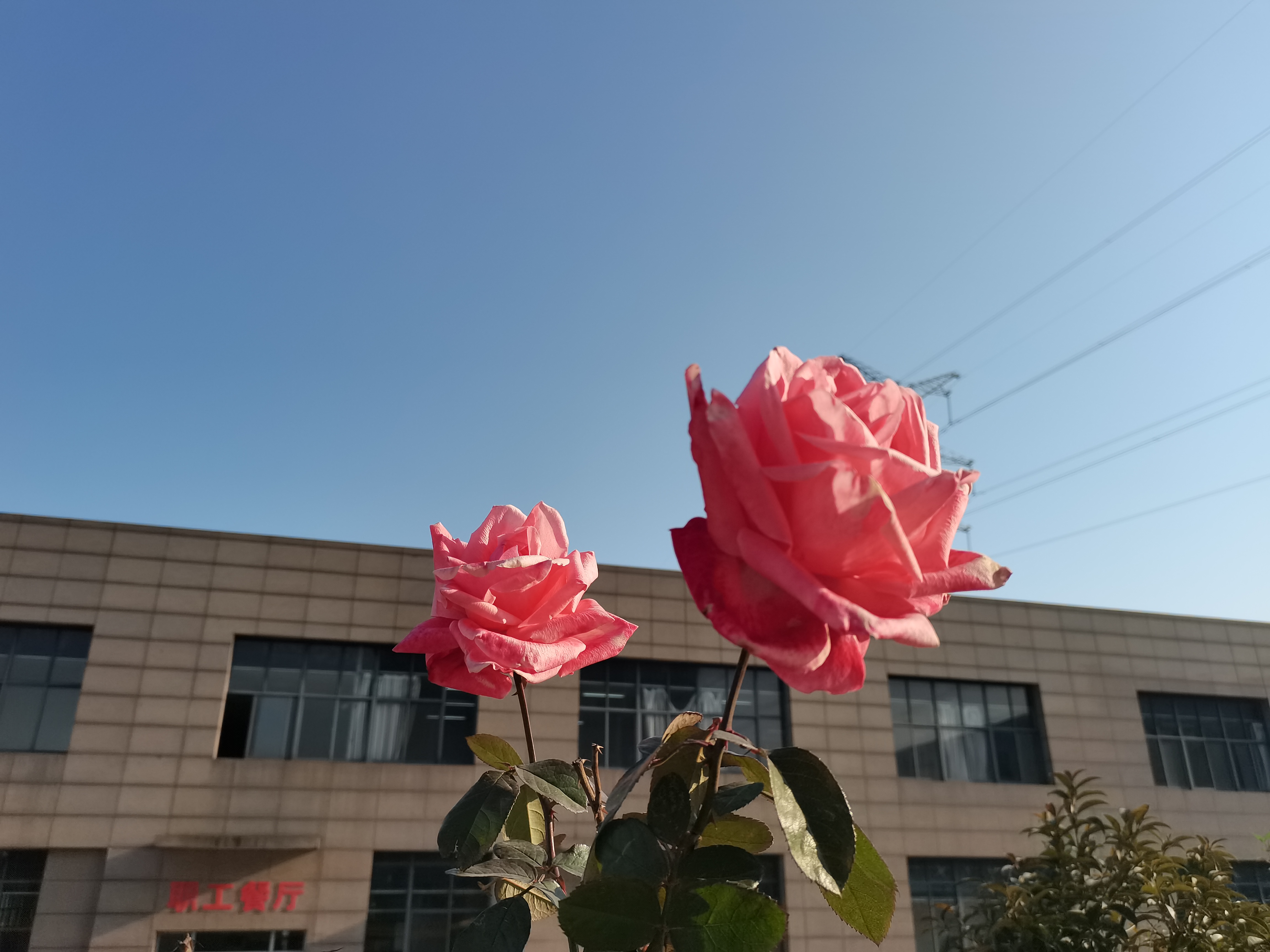 手机里的幸福时光