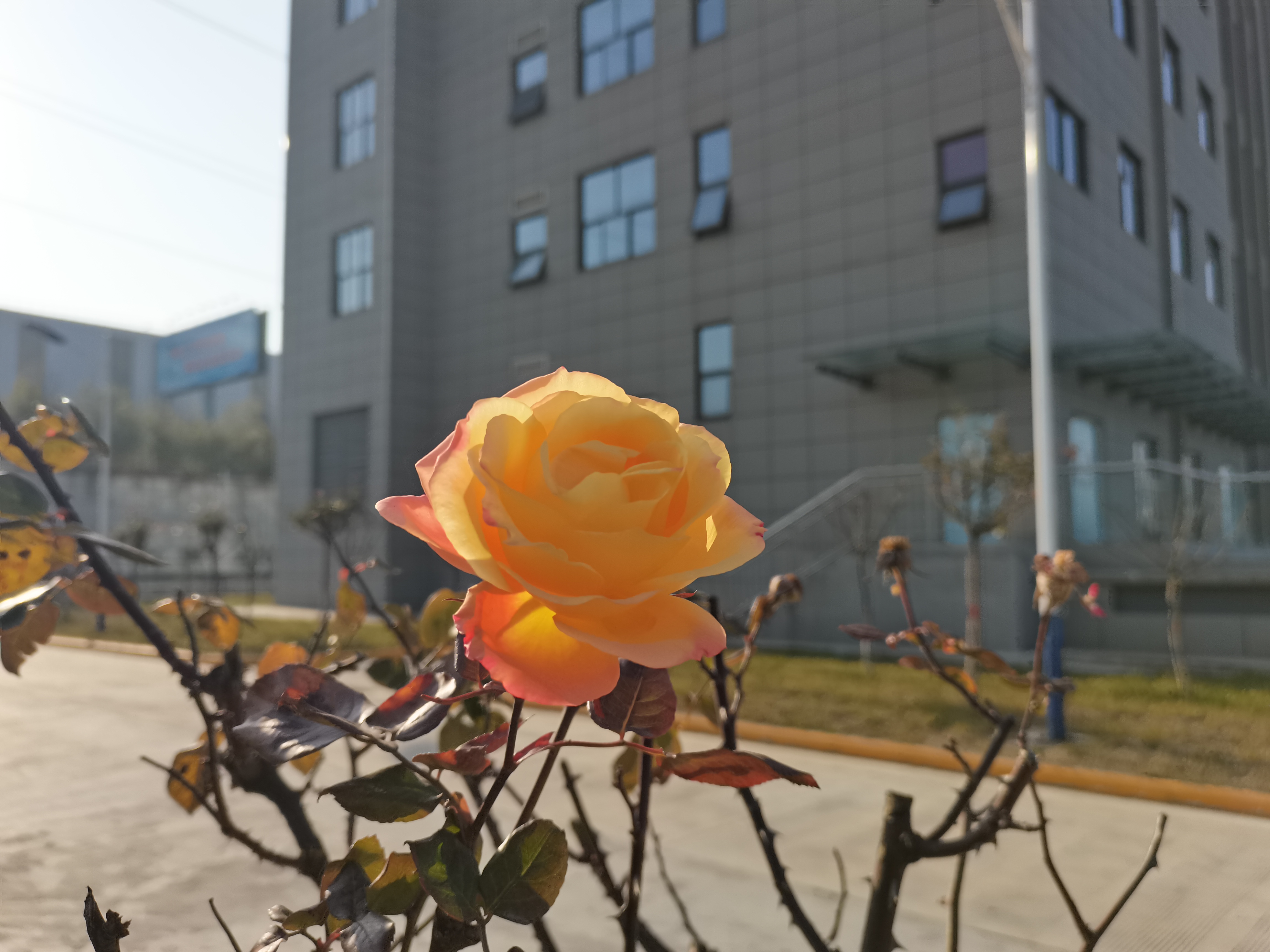 手机里的幸福时光