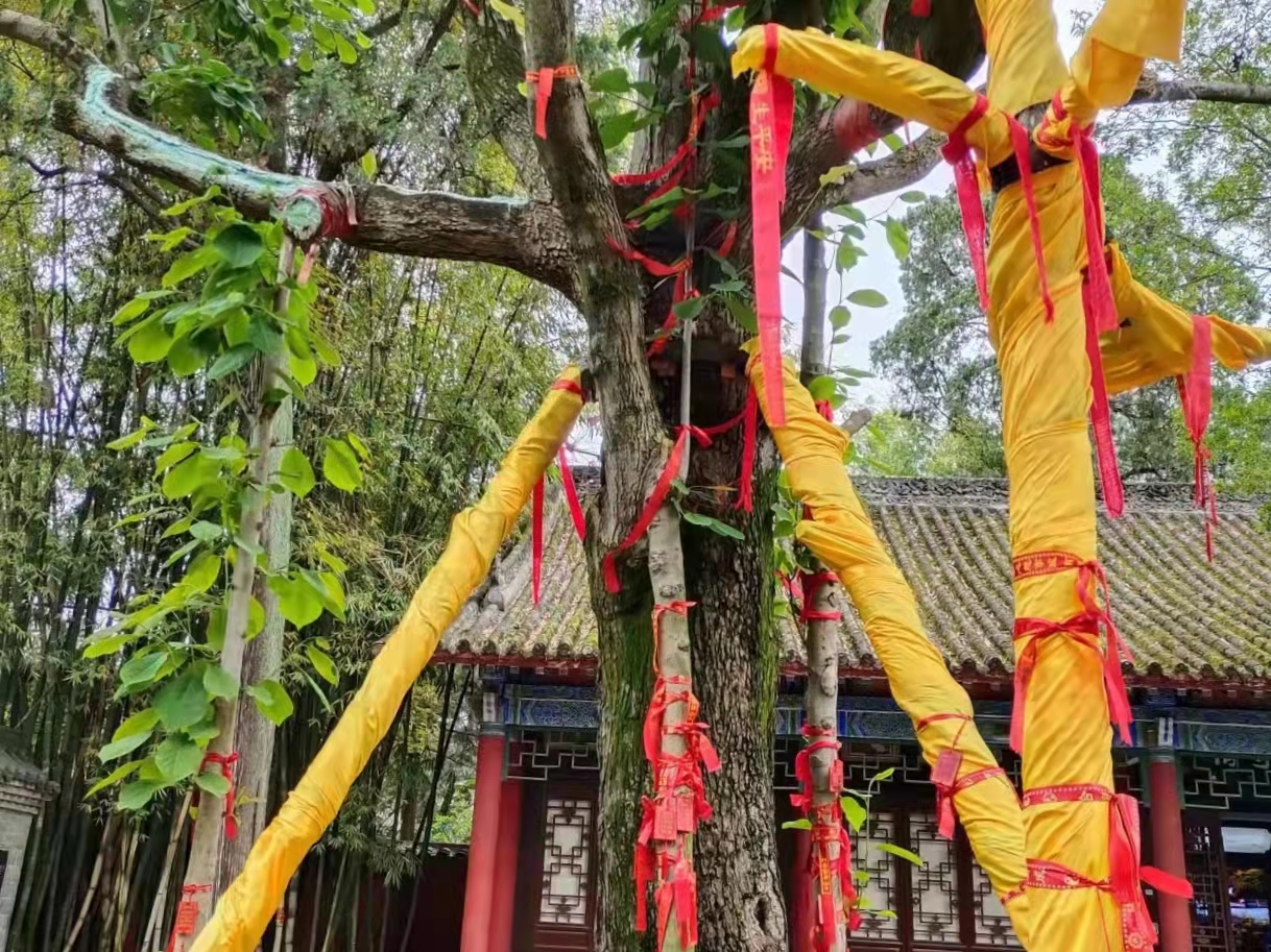 别过旧岁,走进新年 别过旧岁,走进新年