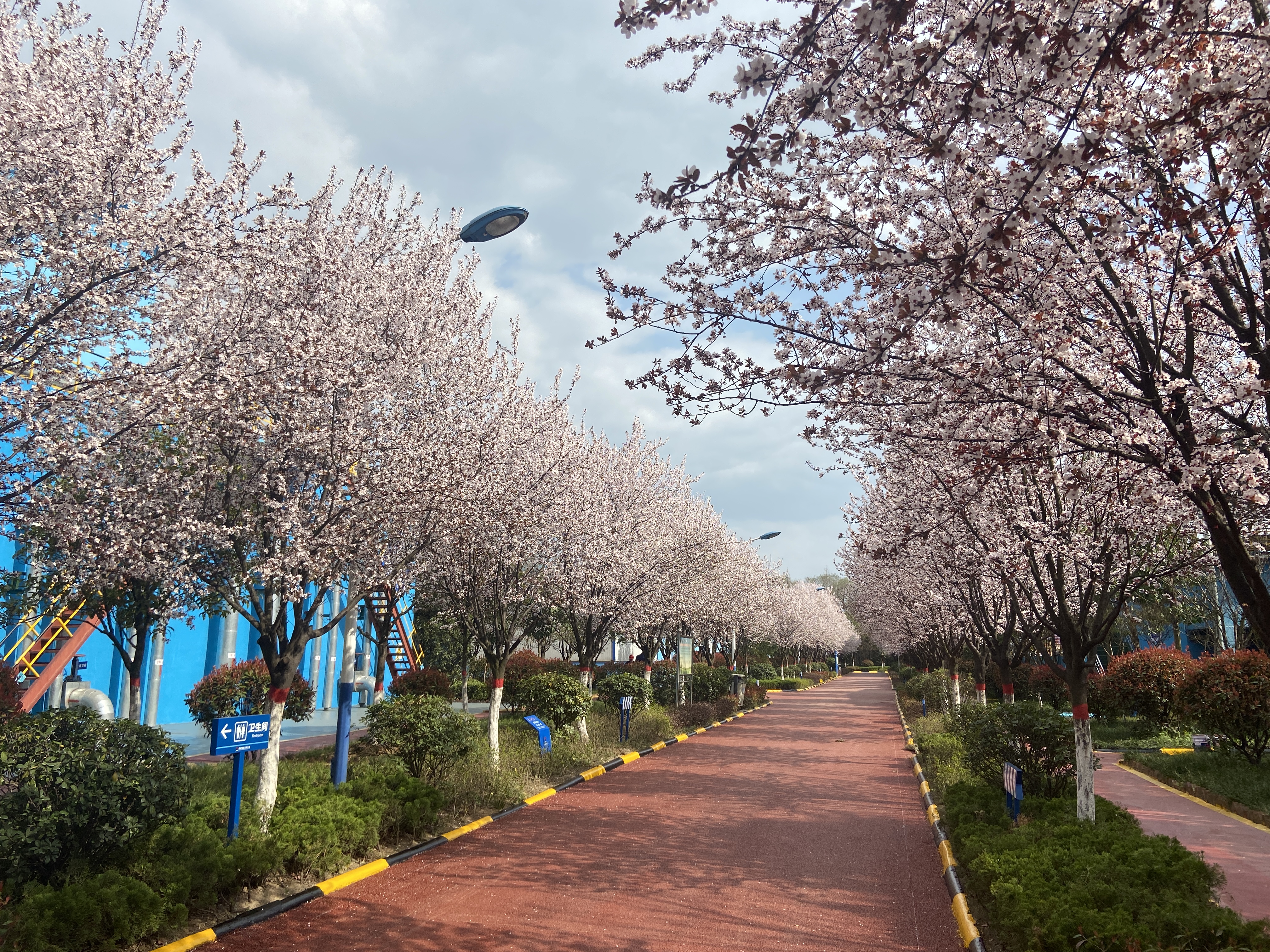 逐“绿”奔跑,倾力打造汉钢“新名片” 逐“绿”奔跑,倾力打造汉钢“新名片”