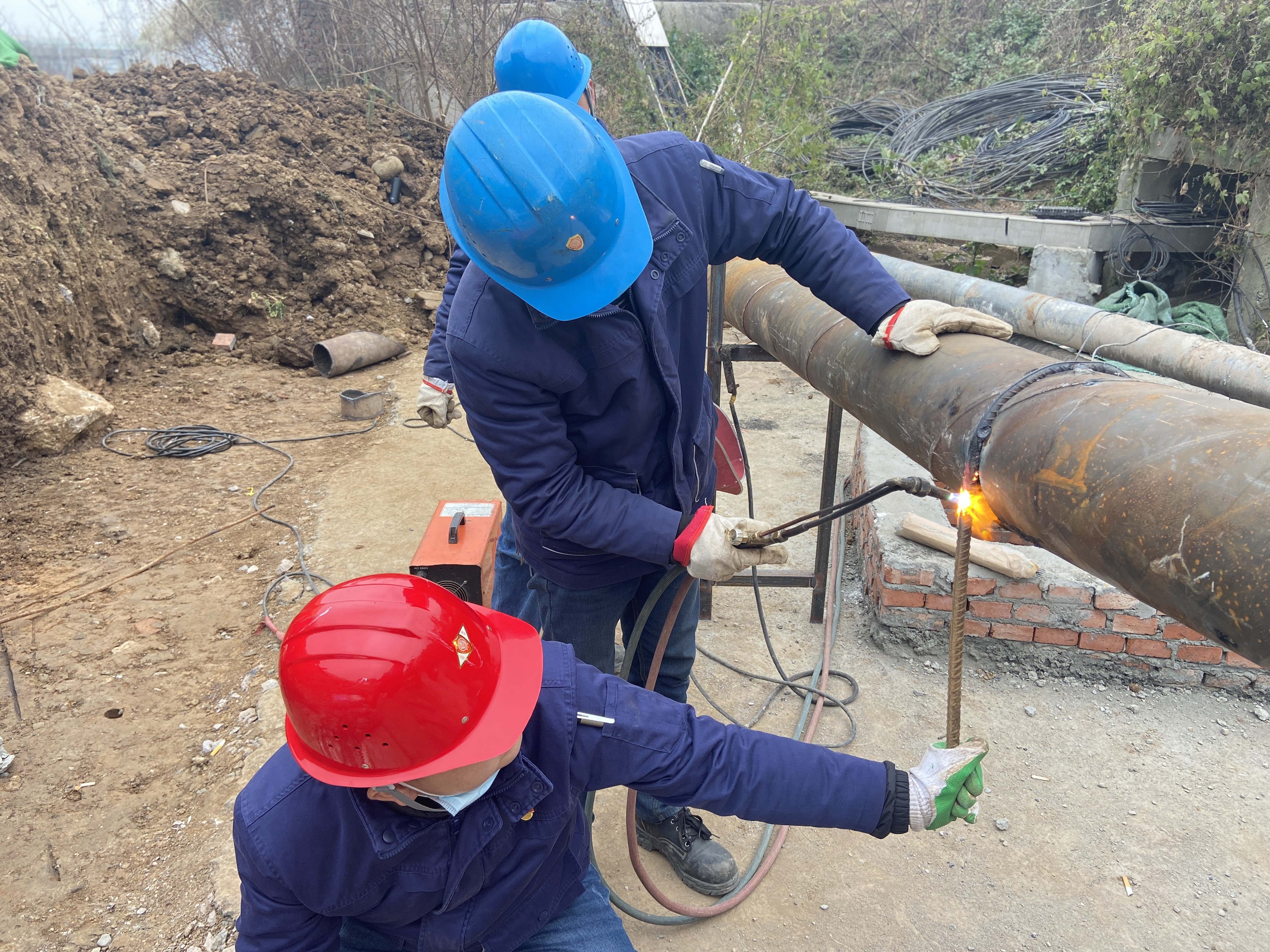 2022,来点不一样的新开端...... 2022,来点不一样的新开端......