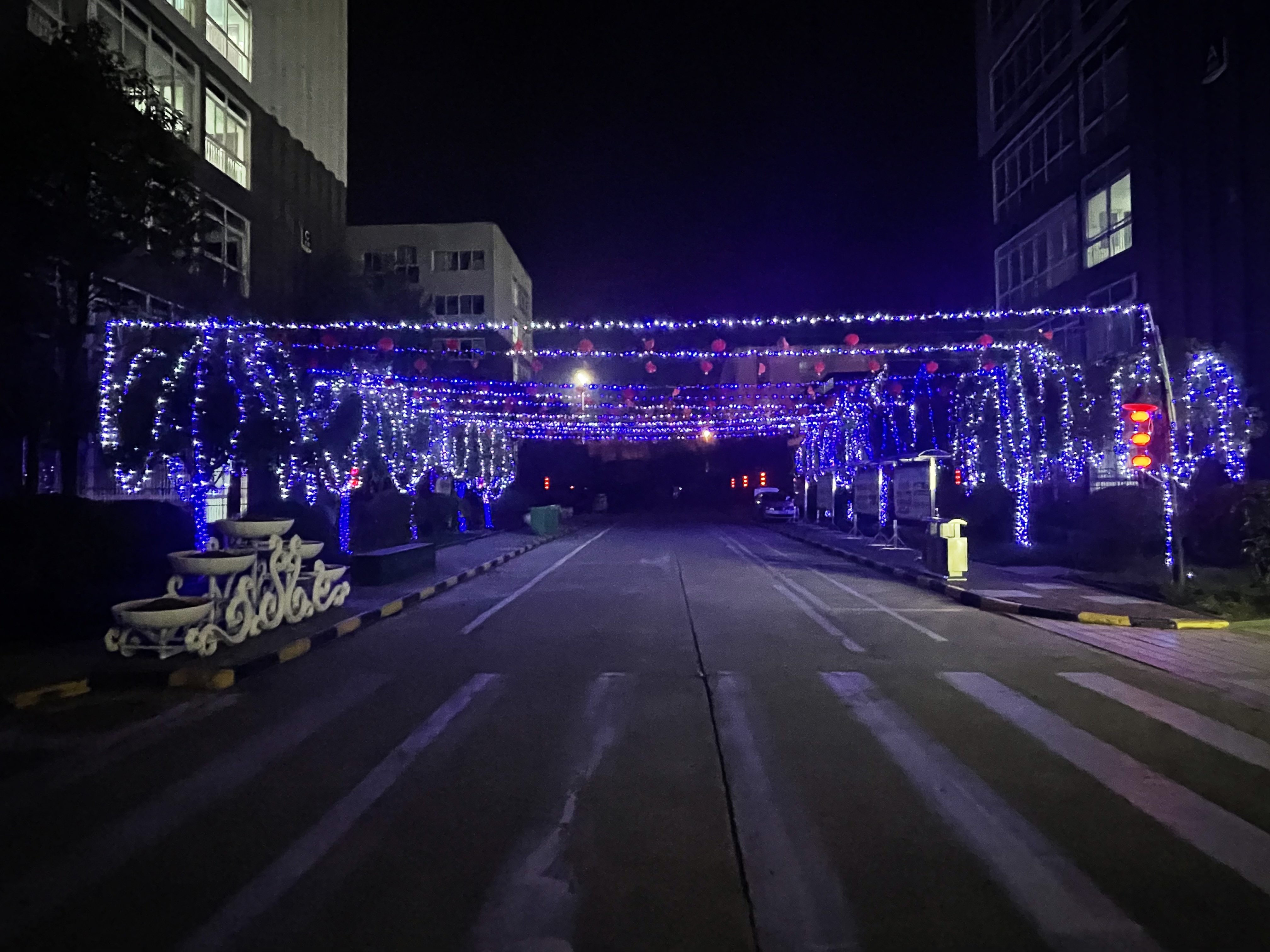 暖在身边 幸福不减 “就地过年”也有仪式感 暖在身边 幸福不减 “就地过年”也有仪式感