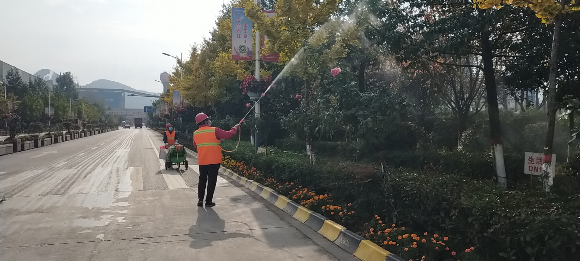 冬去春来，绿化工作从未停歇只为汉钢更美