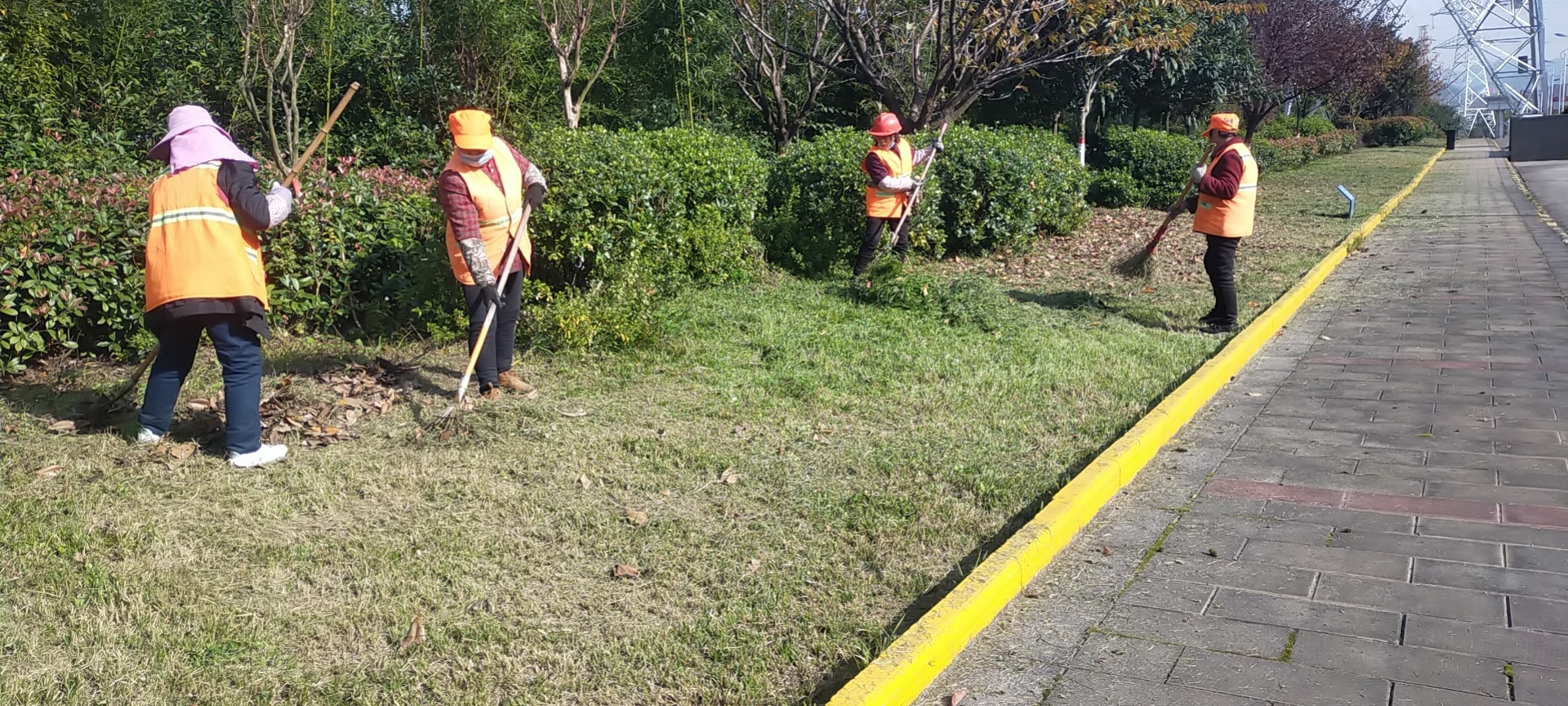 冬去春来，绿化工作从未停歇只为汉钢更美