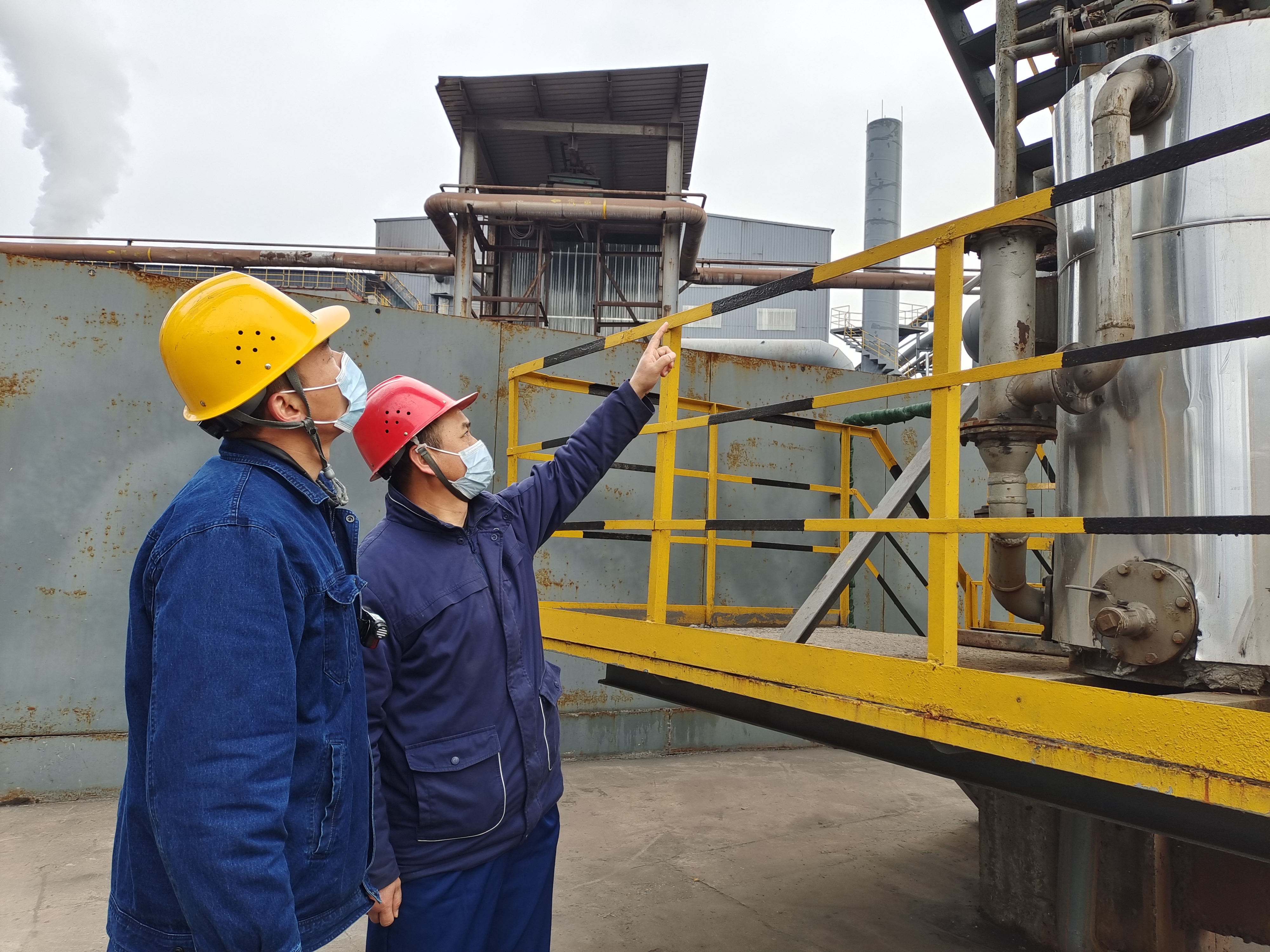 他们是初春最美的风景 他们是初春最美的风景