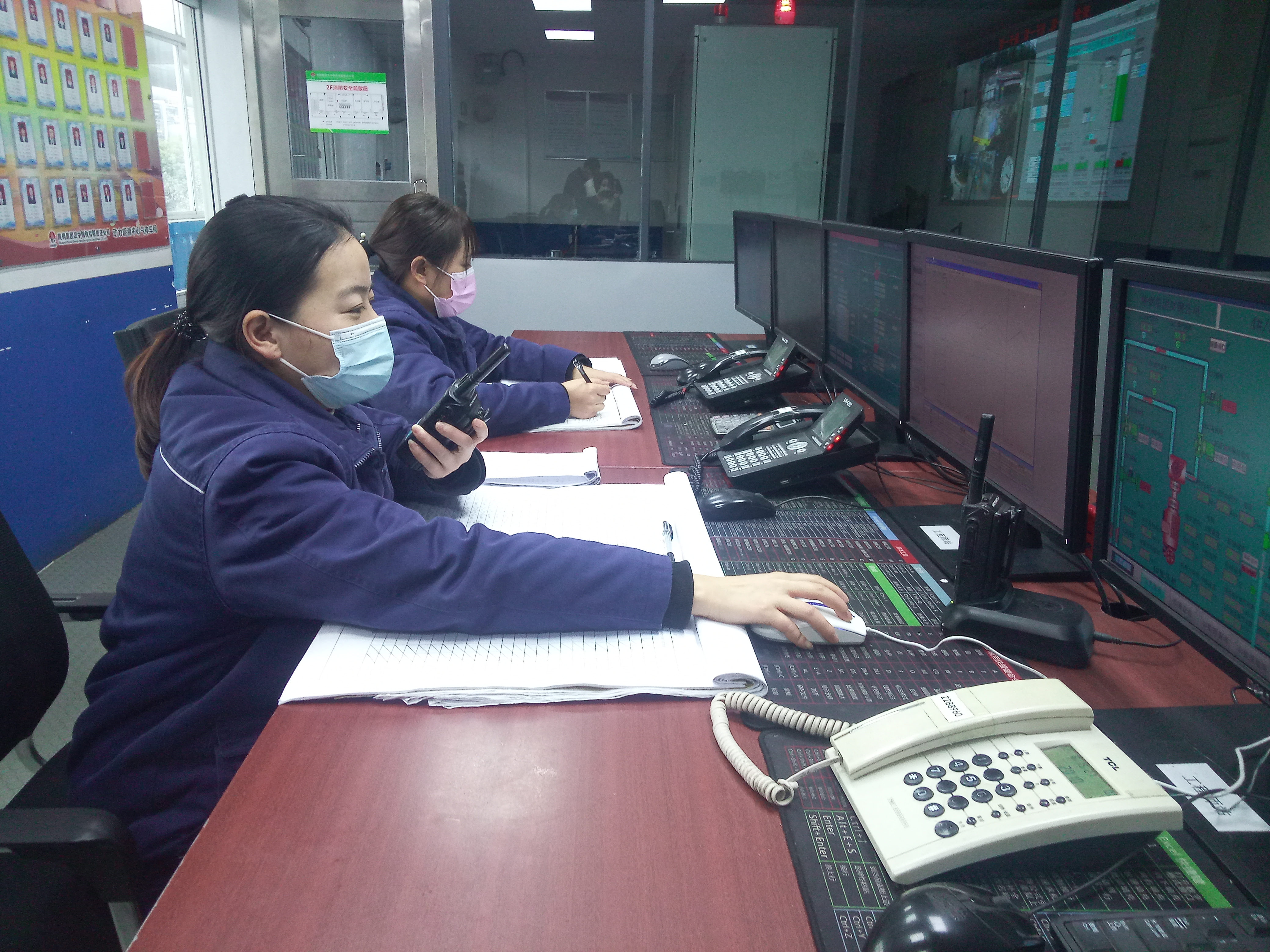 他们是初春最美的风景 他们是初春最美的风景