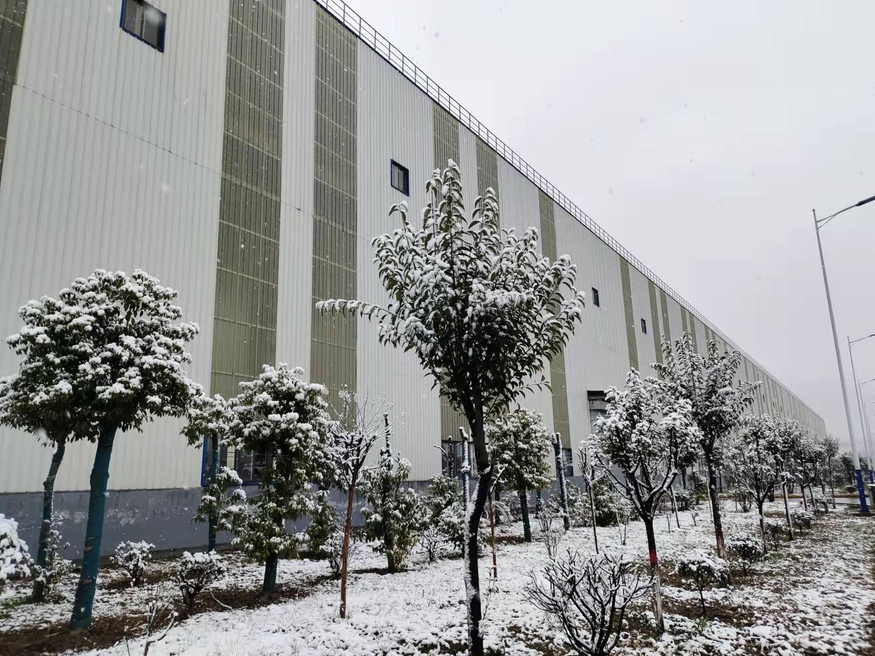 春雪飞花，烂漫了整个春天