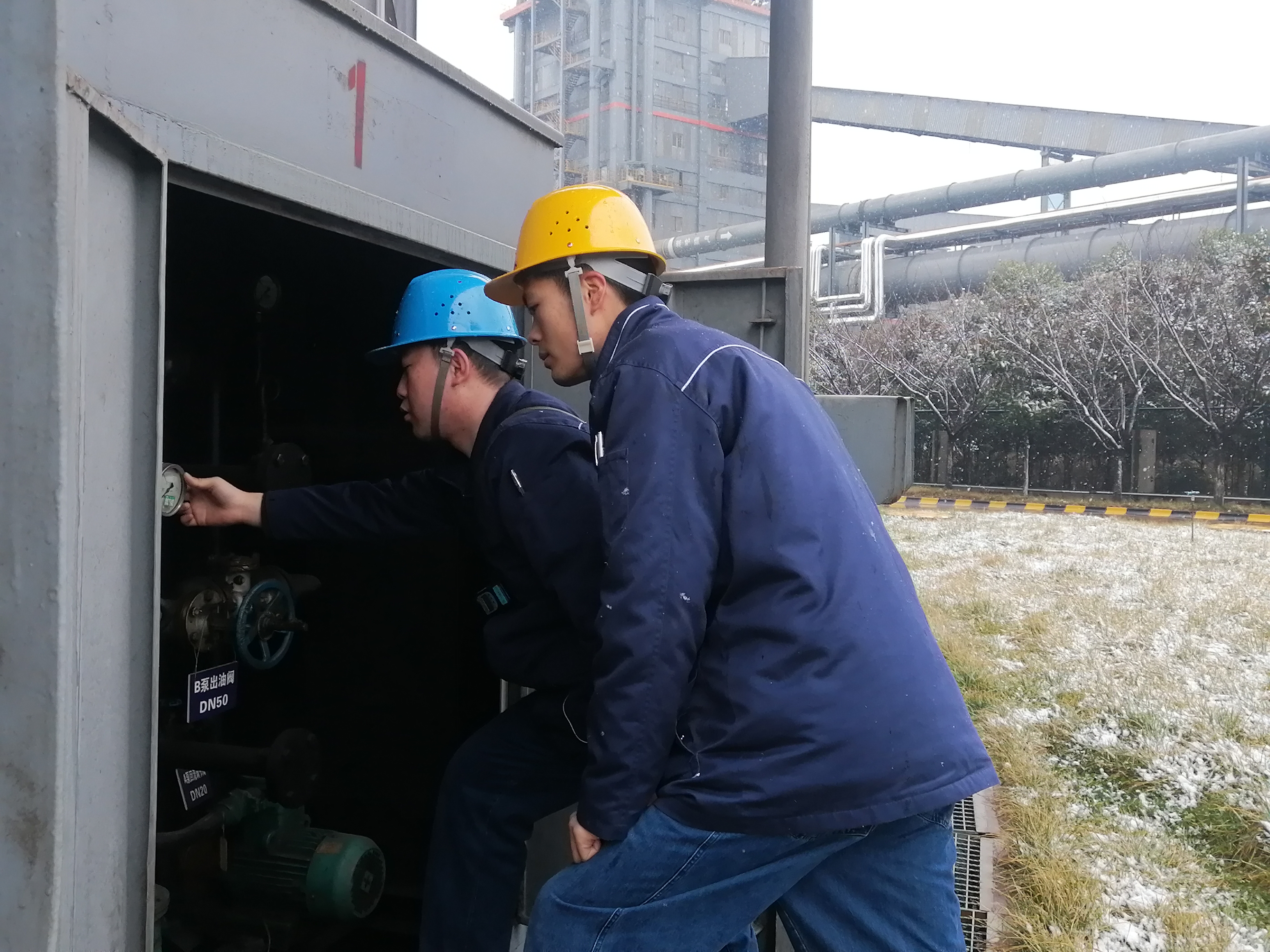 开年就开跑，虎年干劲足