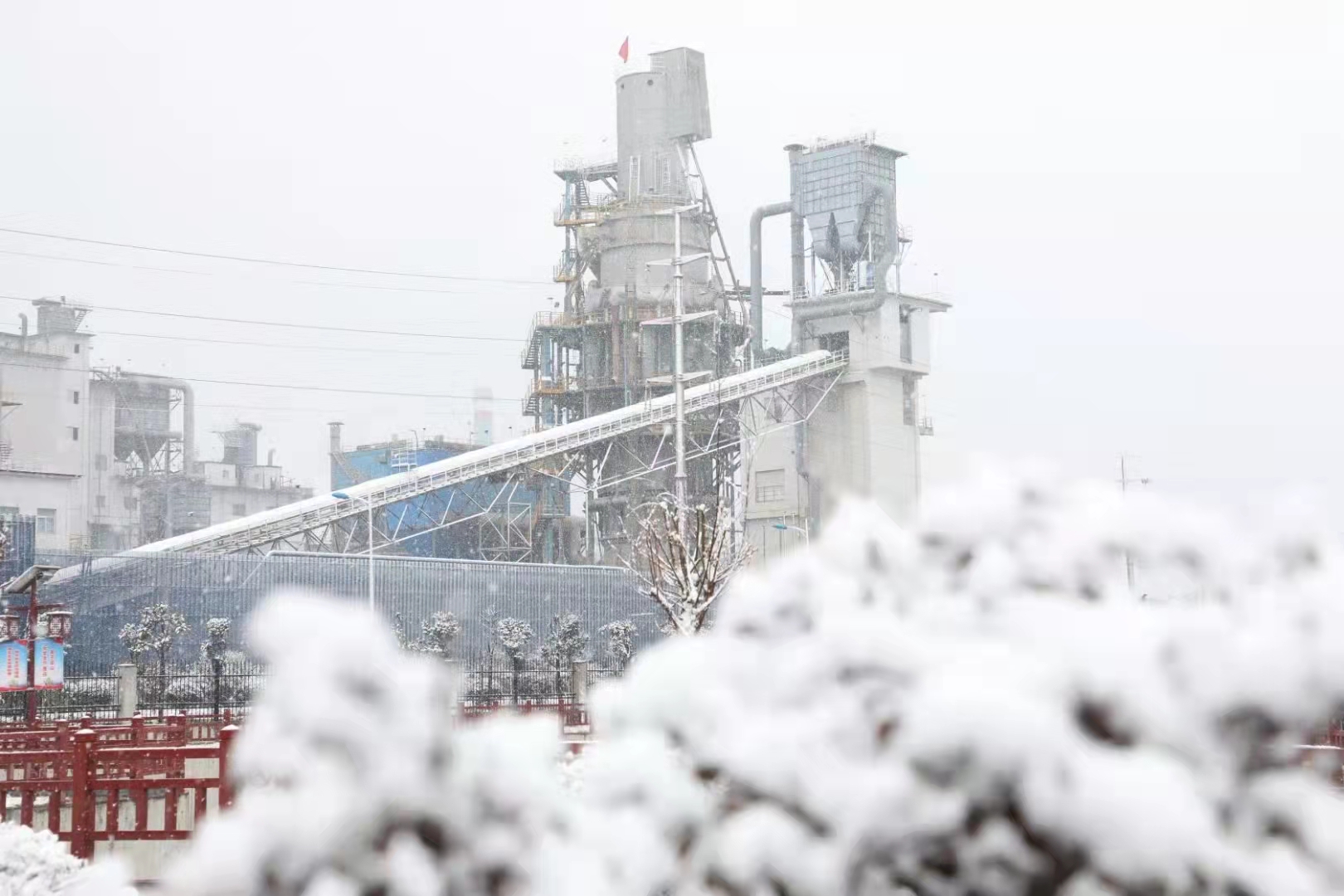 瑞雪落汉钢 瑞雪落汉钢