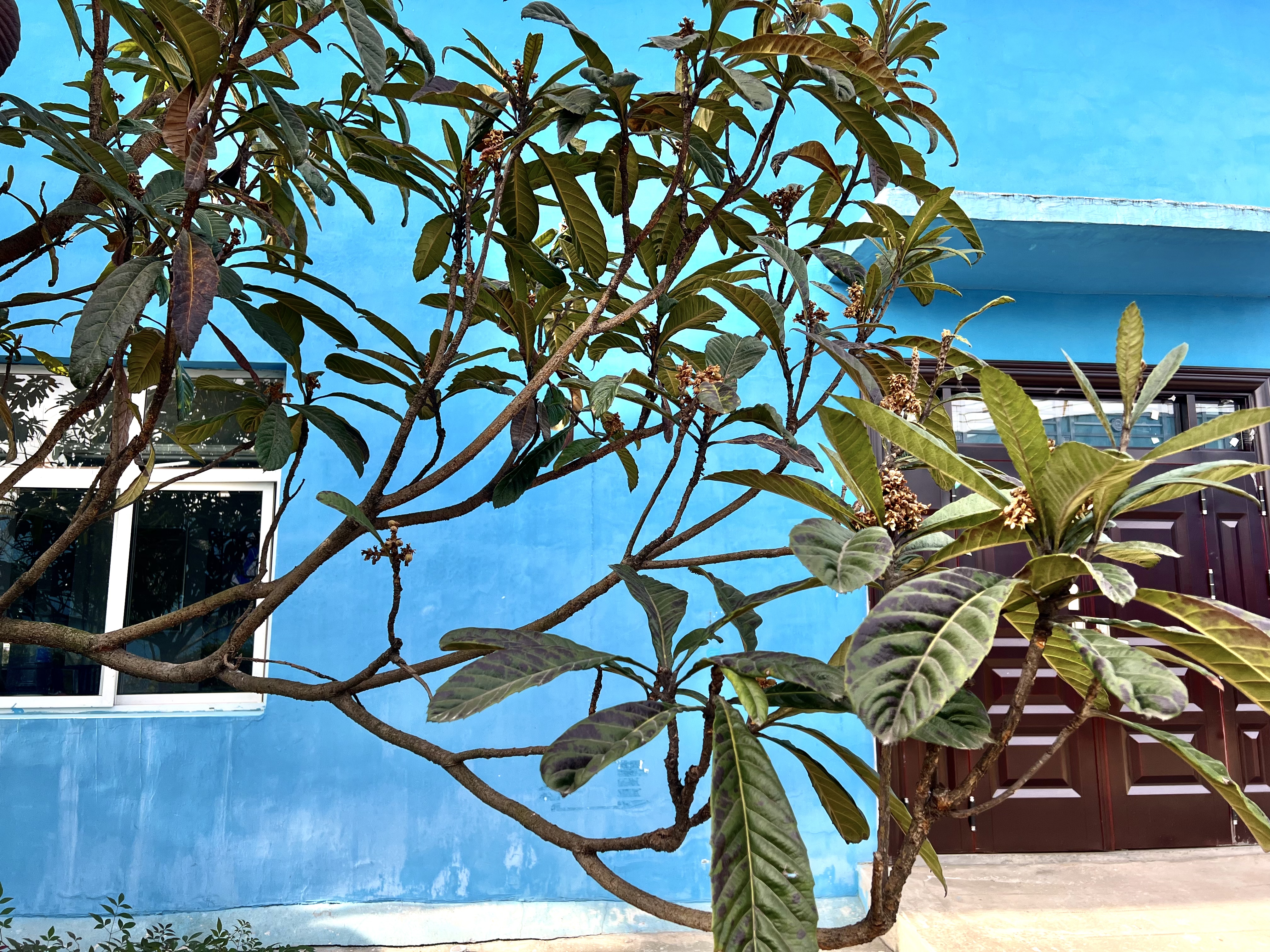 “钢”好遇见“春” “钢”好遇见“春”